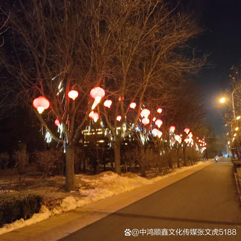流光溢彩映水山——唐山水山樾城小区节日灯亮化工程综述